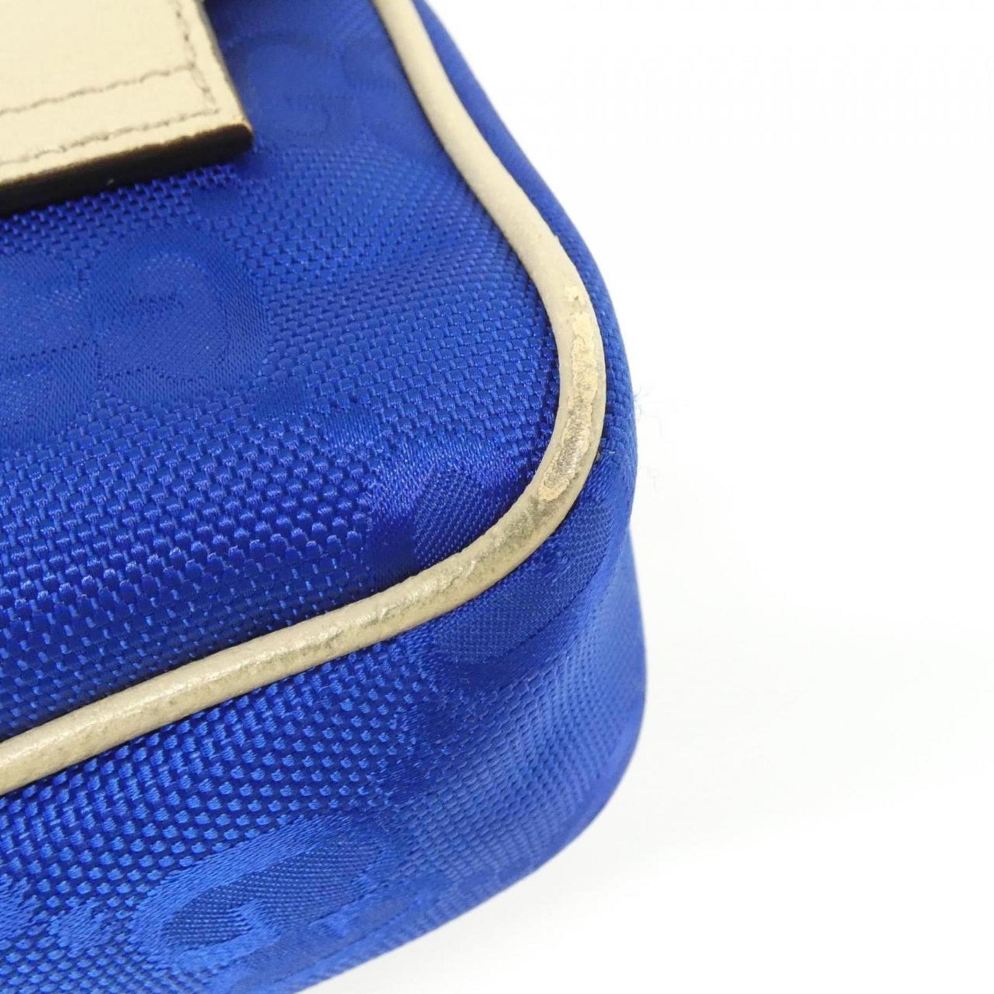 Gucci Blue White Nylon Leather Fanny Pack