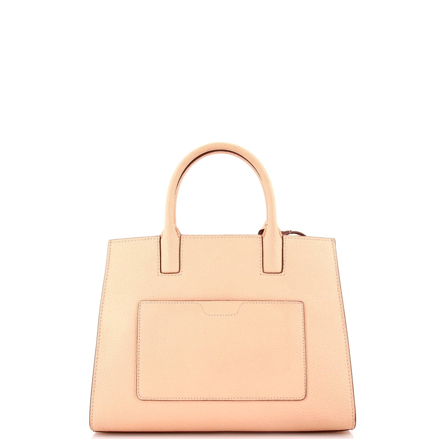 Frances Tote Leather Mini