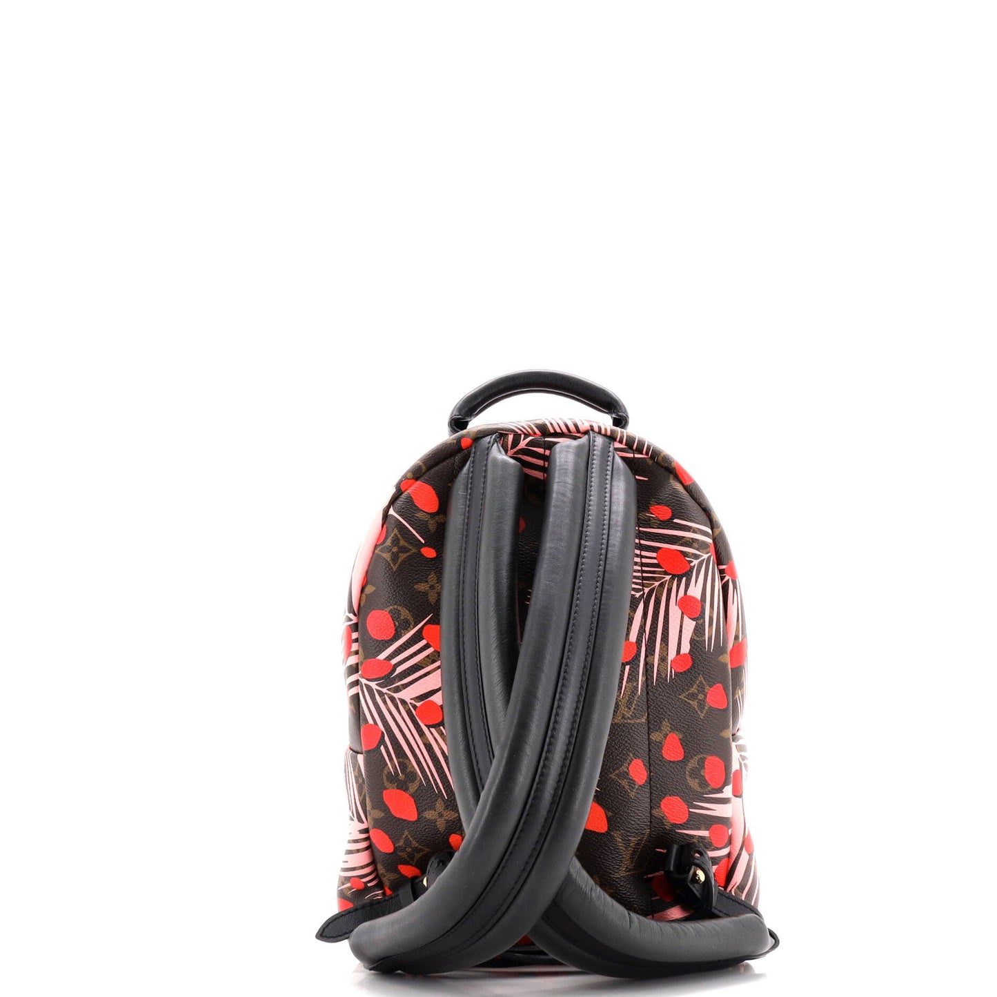 Palm Springs Backpack Limited Edition Monogram Jungle Dots PM