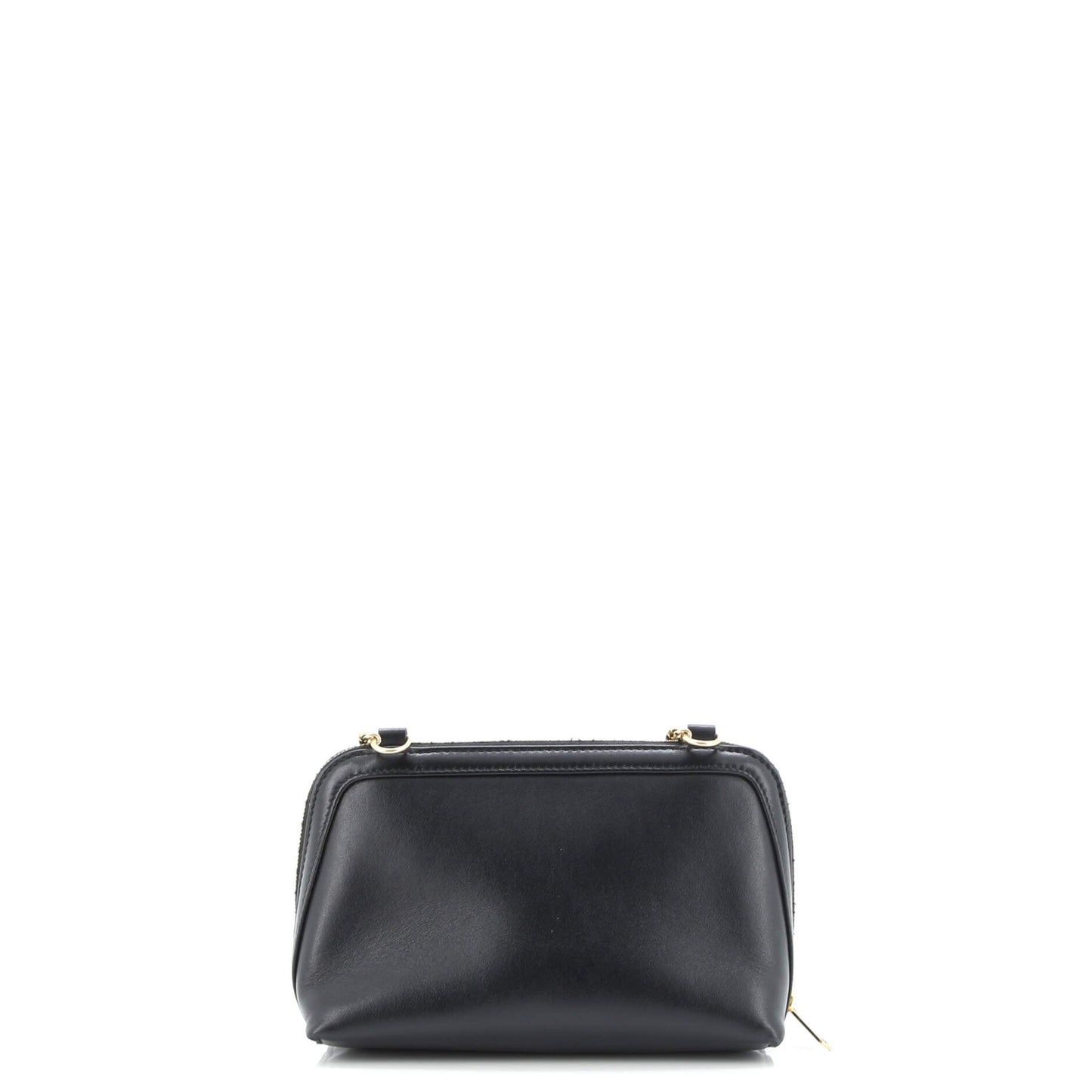 Cuir Triomphe Zip Around Chain Clutch Leather