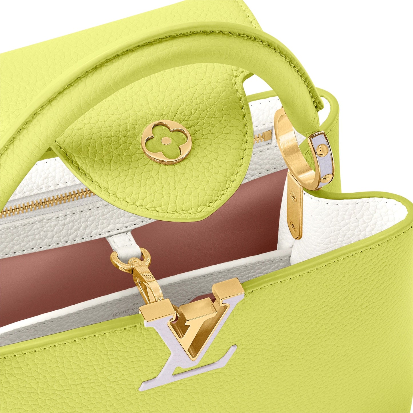 LOUIS VUITTON CAPUCINES MM LIMITED EDITION BAG