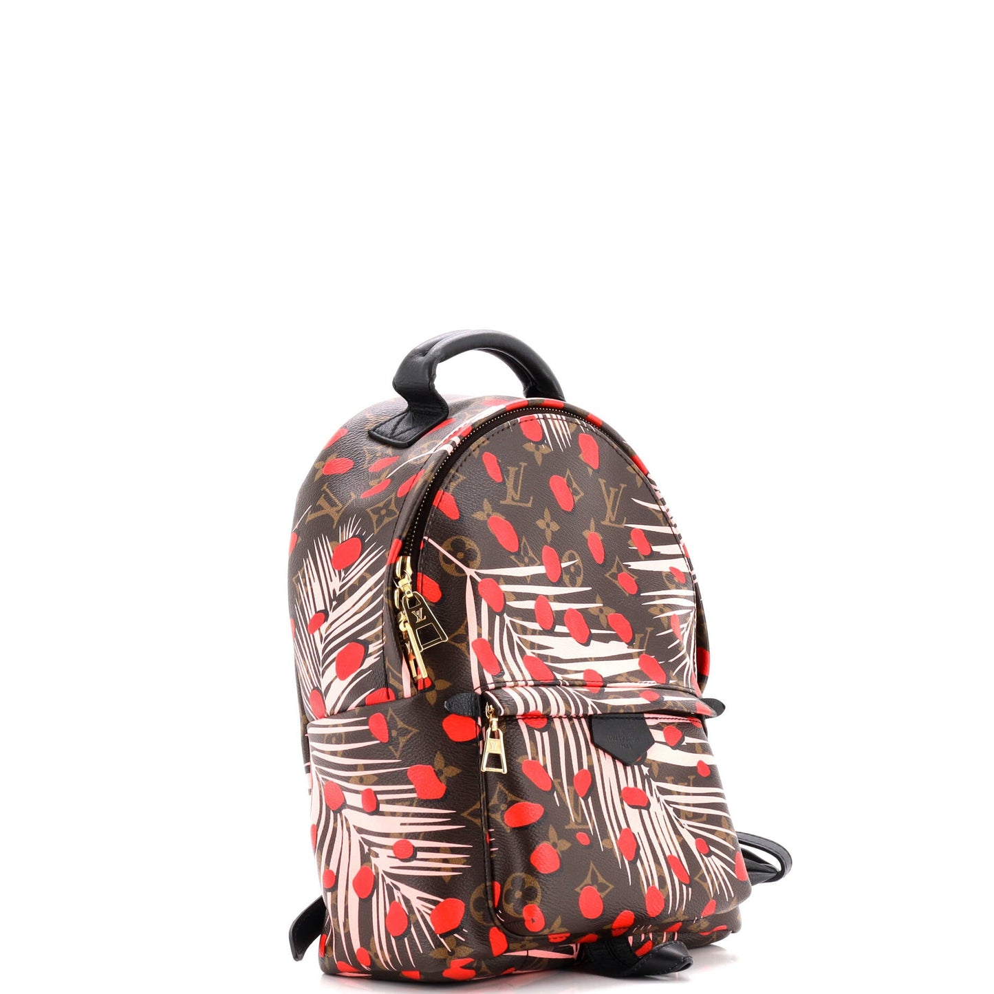 Palm Springs Backpack Limited Edition Monogram Jungle Dots PM