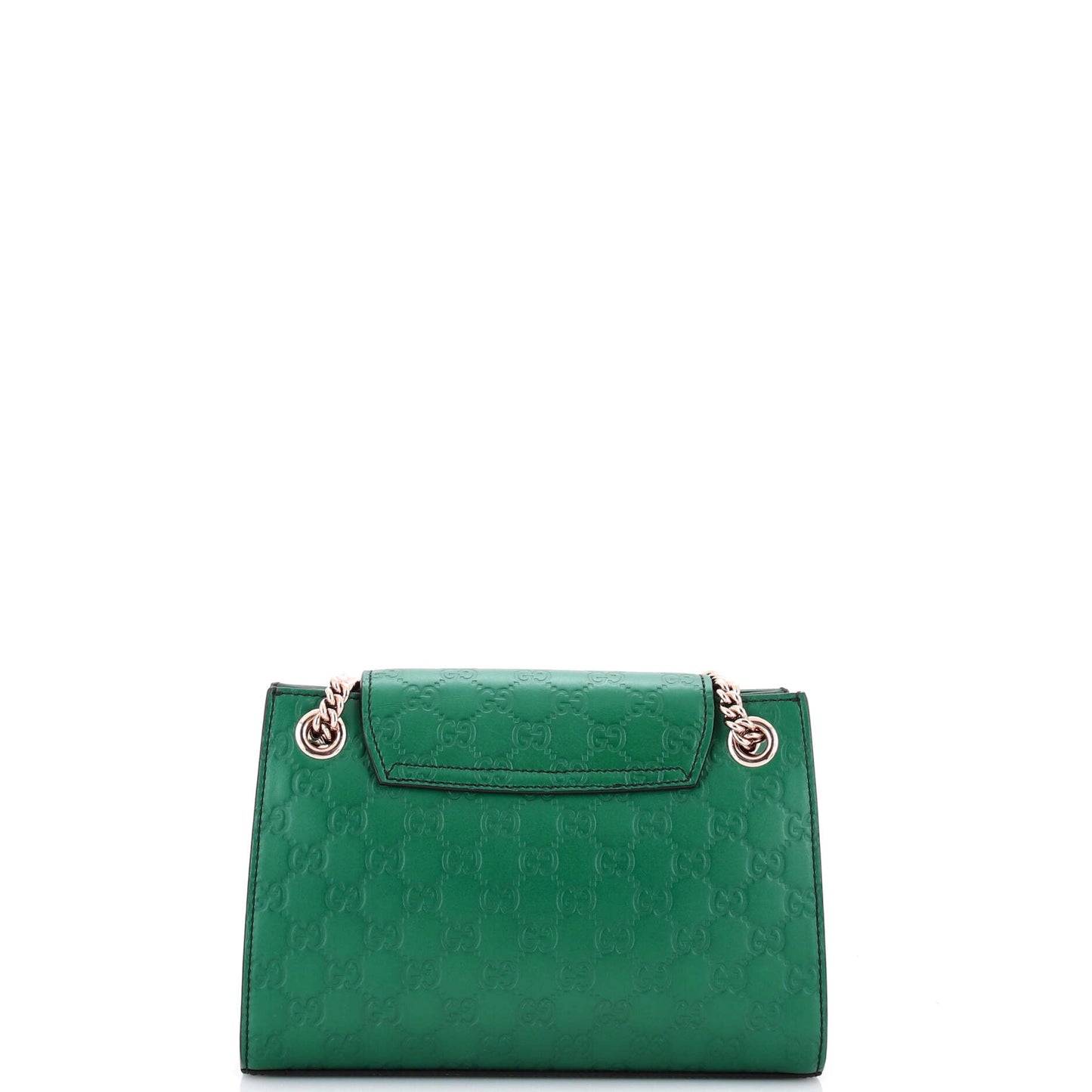 Emily Chain Flap Shoulder Bag Guccissima Leather Small