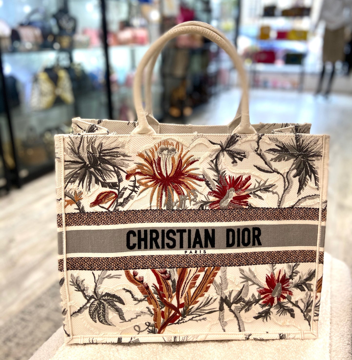 DIOR TOILE DE JOUY TROPICALLA EMBROIDERED LARGE BOOK TOTE BAG