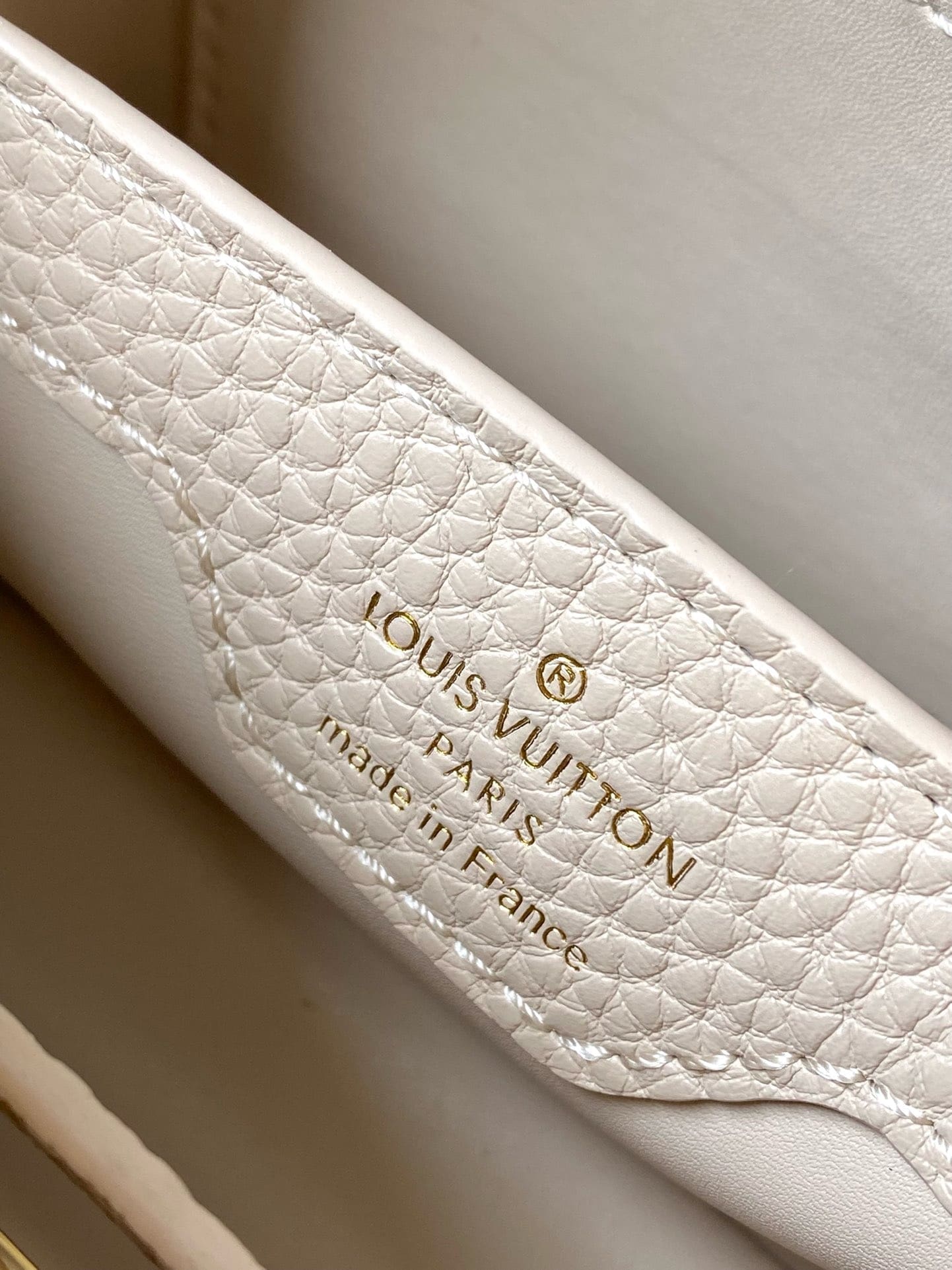 Louis Vuitton M23952 CAPUCINES NANO BAG