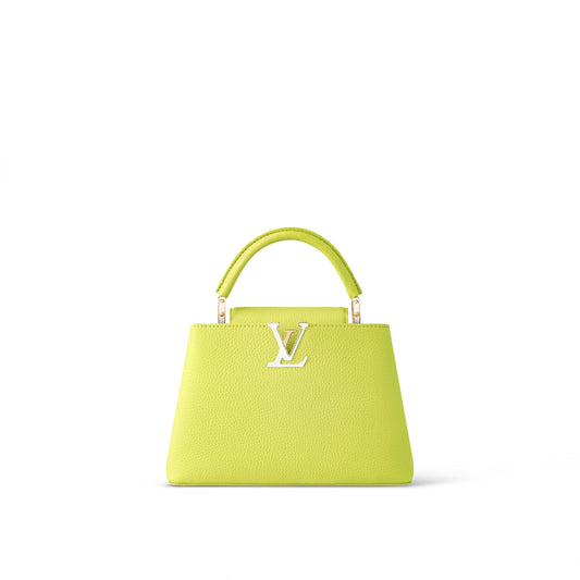 LOUIS VUITTON CAPUCINES MM LIMITED EDITION BAG
