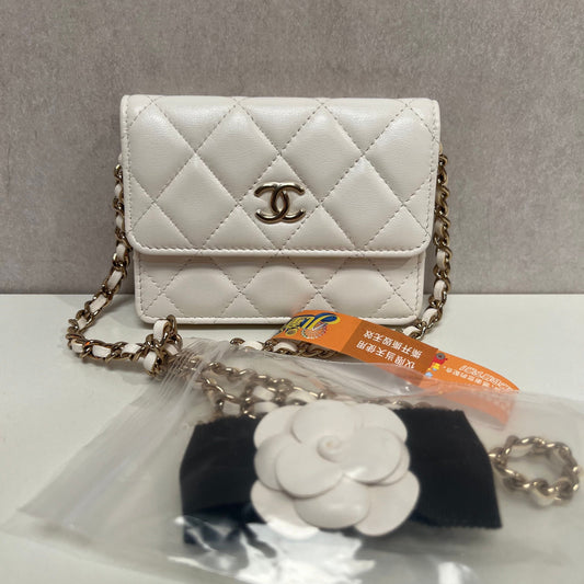 Chanel Clutch on Chain 3335