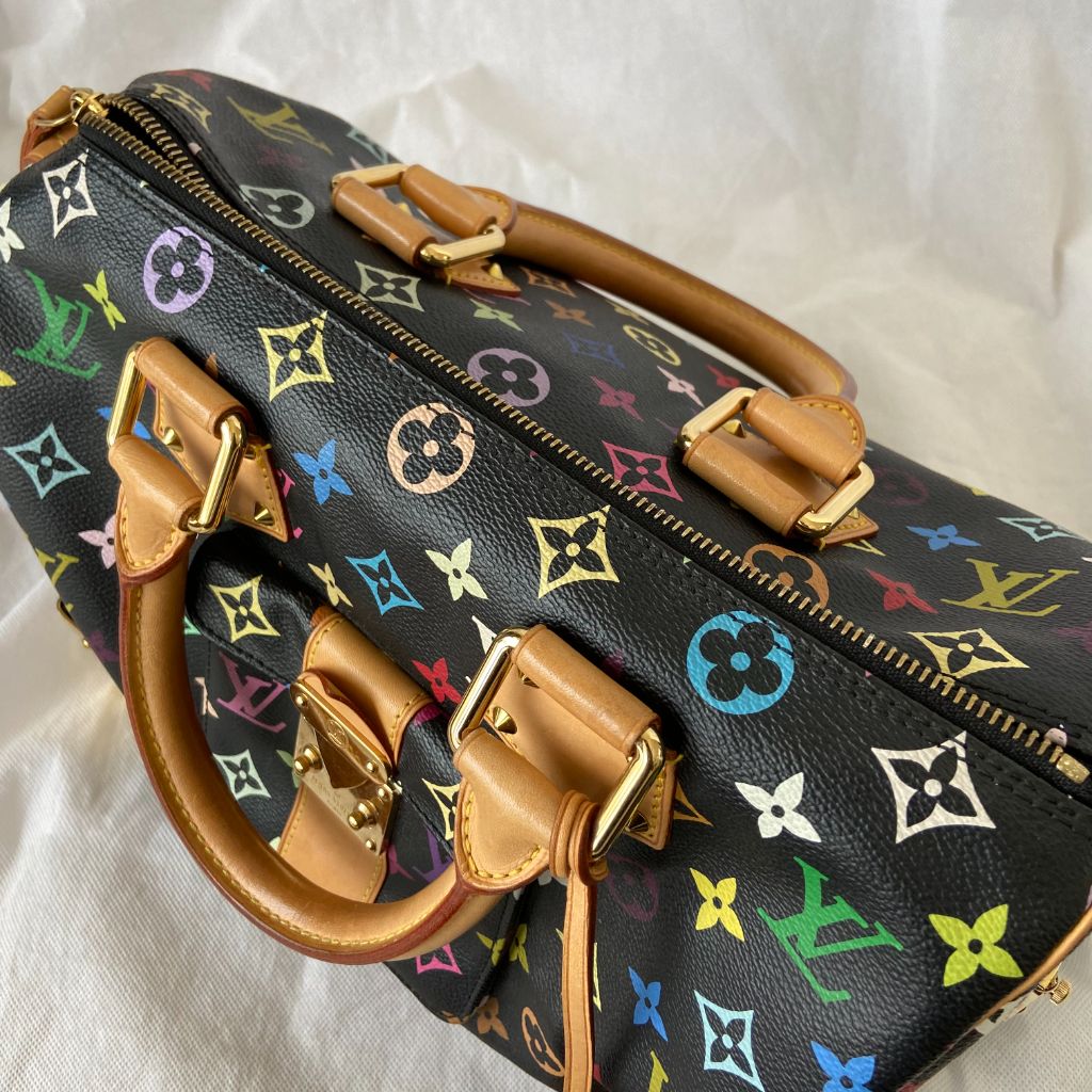 Louis Vuitton Monogram Multicolor Speedy 30 Handbag